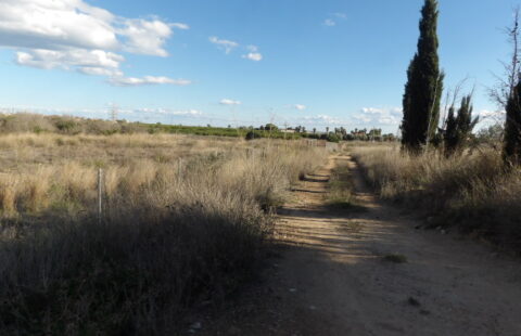 Building Finca in Los Montesinos ( for 2 Villas )