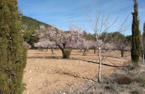 Finca – Lodge -Plot -Grundstuck